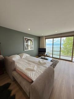 Appartement Evian vue lac exceptionnel - Évian-les-Bains - 4