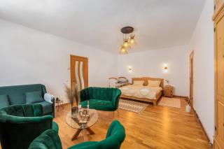 Turnul cu Ceas View Apartment - Sighişoara - 9
