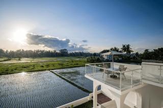 Stunning 2 BR Pool Villa, Ricefields & Volcano View in Ubud - Ubud - 6