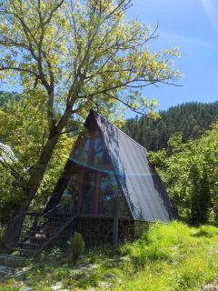 Wonderwood Borjomi Cottage - Bordschomi - 0
