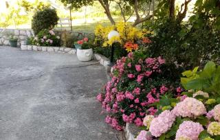 Lovely Apartment In Supetarska Draga - Supetarska Draga - 5