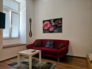 Nice Apartment 38m2 near Vienna center - Vienna - 9