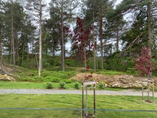 Private bedroom - Moss - 3