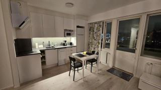 Spacious studio with cathedral views - Turku - 8