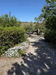 Cortijo Loma del Estanque - Monachil - 7