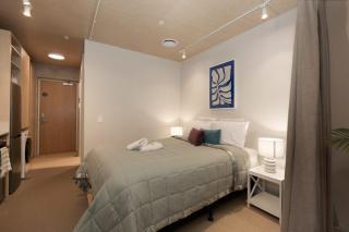 Petone Studio - Balcony Bath Tub Sleeps 2 - Lower Hutt - 1