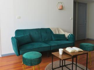 Appartement rénové 2 chambres 55m2 Parking Privé et Wifi - Troyes - 7