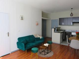 Appartement rénové 2 chambres 55m2 Parking Privé et Wifi - Troyes - 3