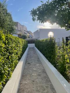 Agenzia Isotur LOCANDA NONNA GIULIA 32 VISTA MARE - Soppalcata - Ponza - 1