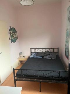 Zelda - Besançon - 6