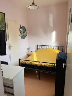 Zelda - Besançon - 8