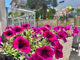 Conero Holiday Home - "Il Filare" - Sirolo - 9