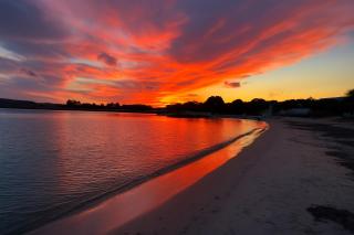 Wind Rose Exclusive -Natural pool 50 m from the Sea - Olbia - 5