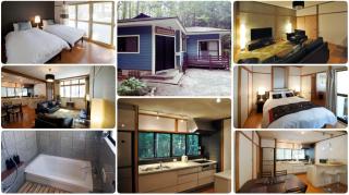 Hakuba Forest House - Hakuba - 0
