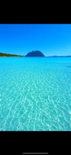 Wind Rose Exclusive -Natural pool 50 m from the Sea - Olbia - 7