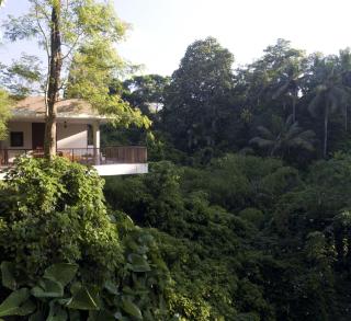 Alila Ubud - 5