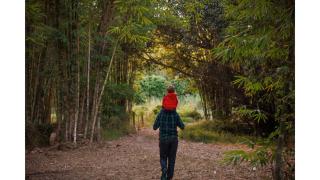 Bamboo Grove by Tiny Away - 9