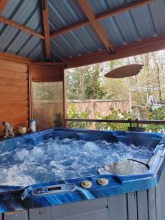 Villa privée avec piscine , jacuzzi , sauna , borne Arcade - 1