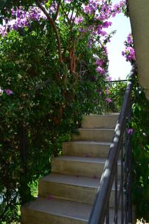 Lovely 1BR Apartment 5min of walk from city center - Bar - 4