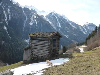 Pension Steinadler - Neustift im Stubaital - 7