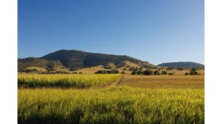 Bamboo Grove by Tiny Away - 7