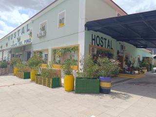 Hostal Fuente del Pino - Jumilla - 9