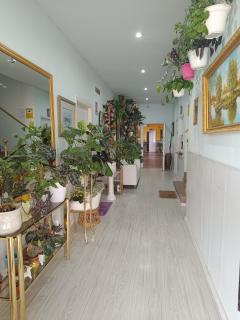 Hostal Fuente del Pino - Jumilla - 7