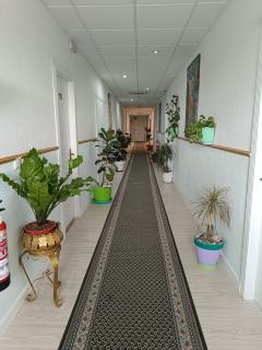 Hostal Fuente del Pino - Jumilla - 2