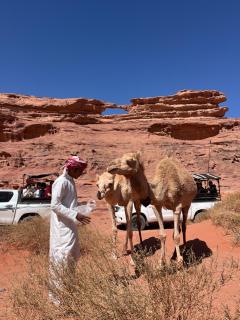Bedouin Adventure Camp - Wadi Rum - 4