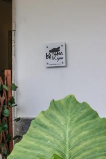 LA TANA DEL LUPO Vintage Loft - Dolceacqua - 4