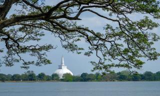 Lake Haven - Anuradhapura - 9