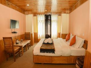 Venky's Place - Jibhi - 7