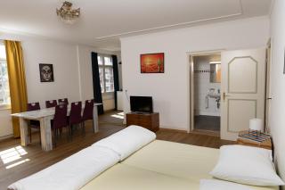 Gasthof Zur Traube - Roggwil - 6
