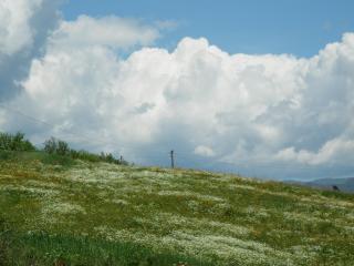 Alluring Farmhouse in Ortignano with Swimming Pool - Castel Focognano - 2