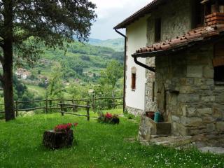 Alluring Farmhouse in Ortignano with Swimming Pool - Castel Focognano - 5