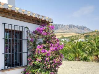 Guest house in a traditional Andalusian country estate - La Joya - 6