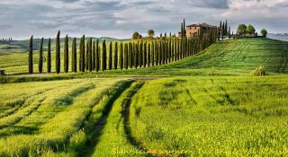 by Casamerina, House with private pool 30km from Siena & Arezzo - 6