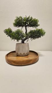 Spacious studio with cathedral views - 4