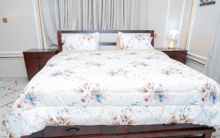 Ike's Villa With Free Chauffeur Driven SUV Genset - Oyarifa - 6