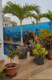 Villa Hawa, Décor unique & Piscine - Somone - 0
