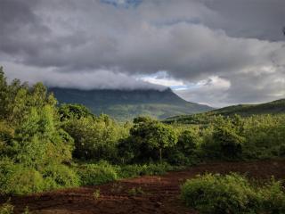 The Natures Nest Resort - Attigundi - 0