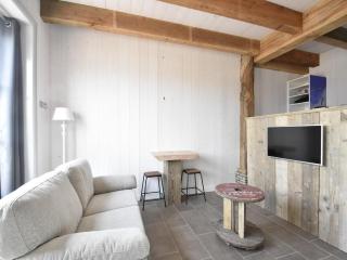 Studio Hazenborgh in Callantsoog near the sea - Callantsoog - 1