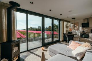 Bos, duin en strand huisje - Noordwijk - 0