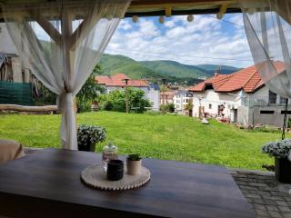 Apartmani Ruj - Sokobanja - 0