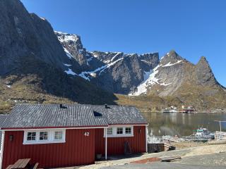 Reinebua - Reine - 9