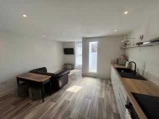roof top terrace apartment - Ilfracombe - 5