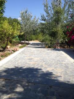 Cortijo de Mariangela tres - Antas - 8