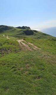 roof top terrace apartment - Ilfracombe - 2