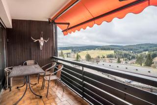Terrassenpark Apartment 160 - Schonach - 9
