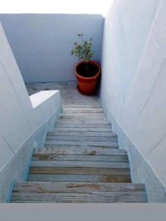 Casa Catarina - Olhão - 9